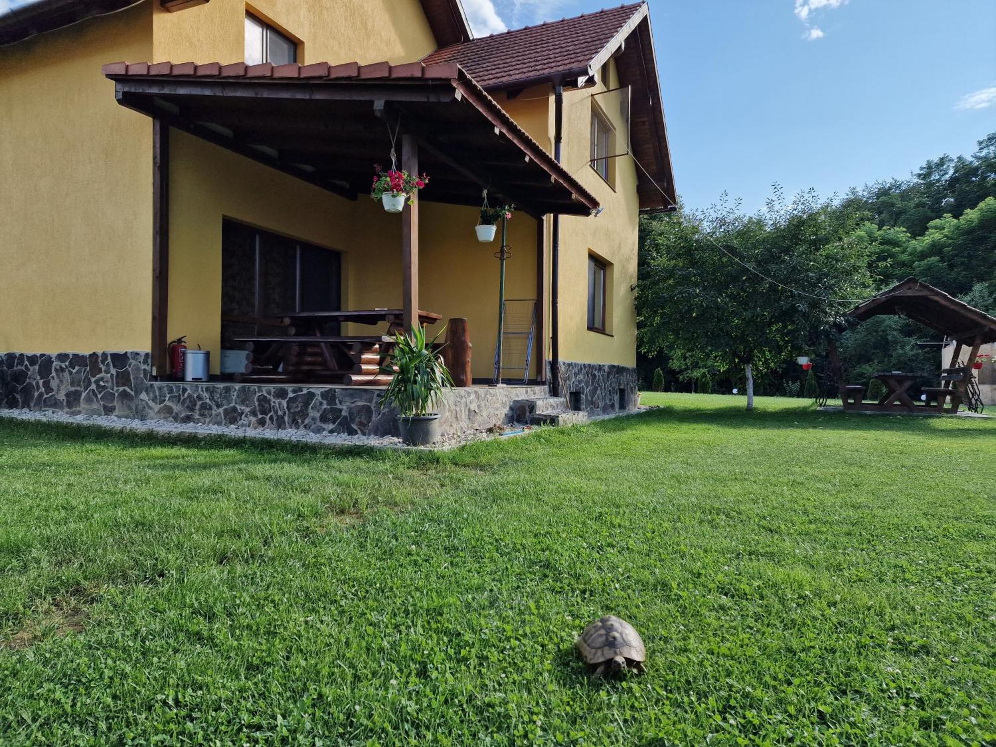 Casa Maya Sasciori Luaran gambar